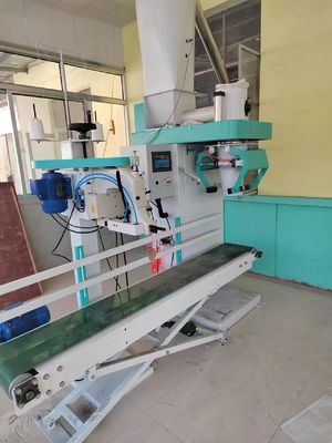 ±0.25g প্যাকেজিং নির্ভুলতা, পিএলসি কন্ট্রোল সিস্টেম এবং উচ্চ দক্ষতার জন্য 380V কাস্টমাইজযোগ্য মোটর সহ গ্রানুলার প্যাকেজিং মেশিন